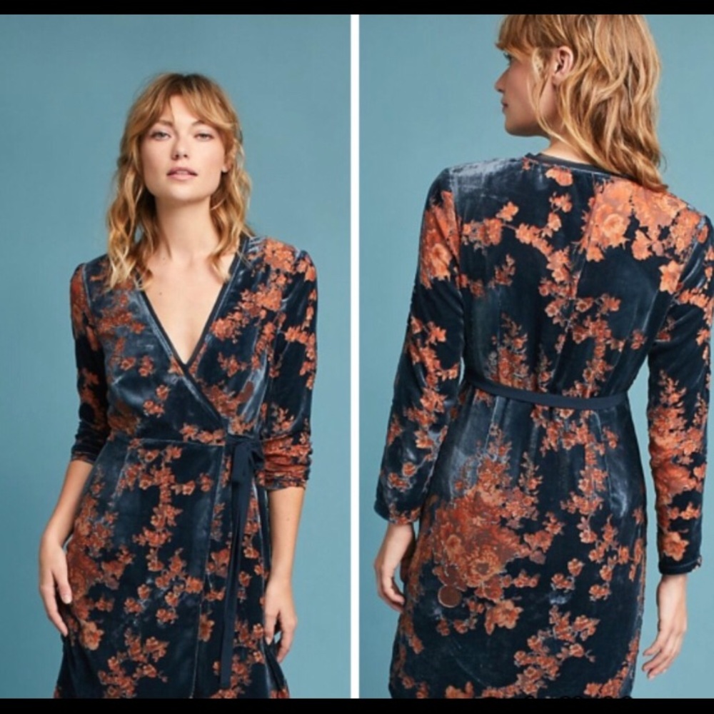 ANTHROPOLOGIE VELVET BURNOUT DRESS